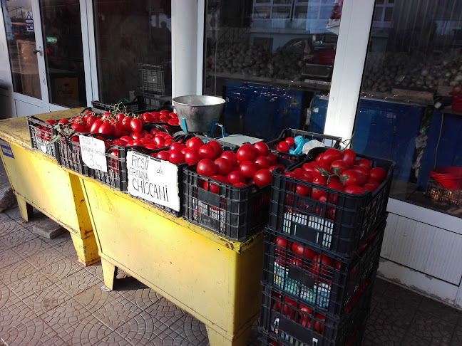 Opinii despre Piața Pistruiatul în Brăila - Gastronomie și ospitalitate