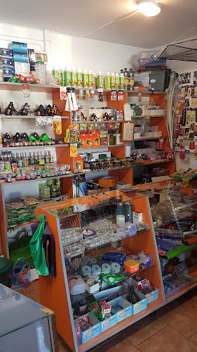 Comentarii opinii despre Piața de Zarzavaturi și Fructe