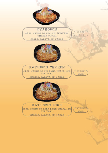 Comentarii opinii despre Tokyo Rikiya