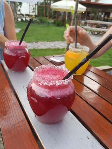 Hanul Teilor - Gastronomie și ospitalitate