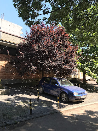 Opinii despre Piața Turist în Galați - Gastronomie și ospitalitate