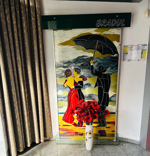 Comentarii opinii despre Restaurant Bradul