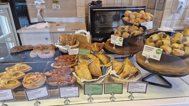 Comentarii opinii despre Ana Pan 13 Septembrie