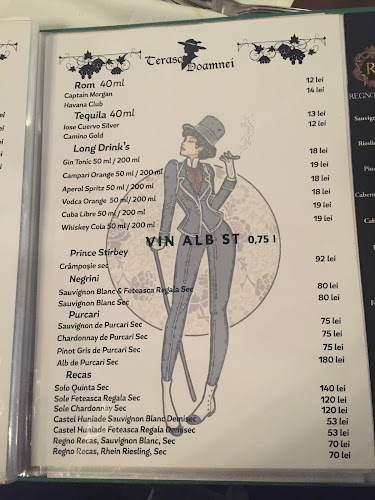 Terasa Doamnei - București