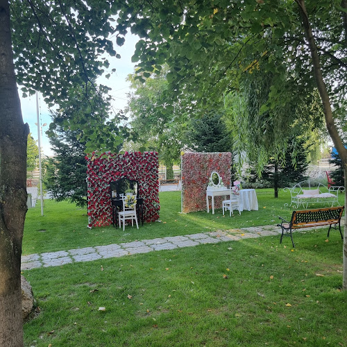 Comentarii opinii despre Flora