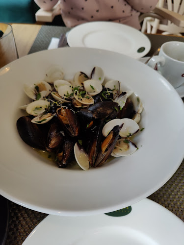 Strada Lucian Blaga nr. 1, Timișoara 300001