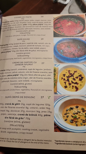 Strada Matei Vasilescu 19, Drobeta-Turnu Severin 220148