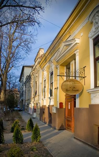 Strada Mareşal Alexandru Averescu 1B, Timișoara 300773