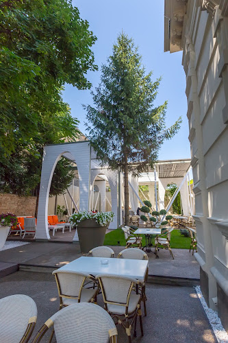 Comentarii opinii despre Acquarello