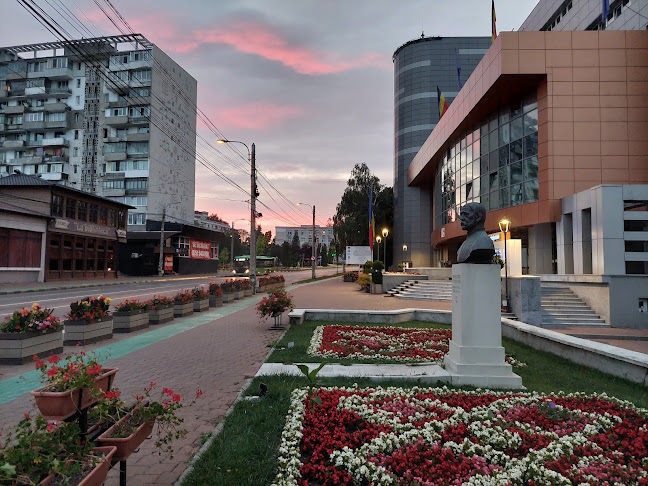 Opinii despre La bibliotecă în Suceava - Gastronomie și ospitalitate