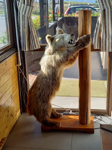 Comentarii opinii despre Flip Kebab