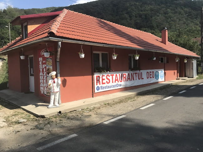 Restaurant La Maya - Mori de apa Rudaria Eftimie Murgu Banat - Eftimie Murgu