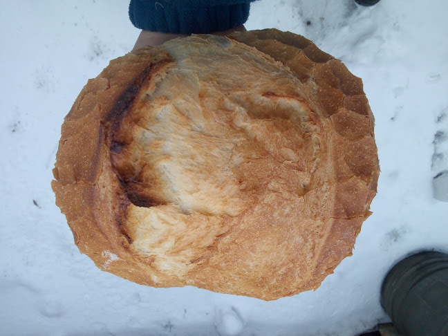 Brutarie Berezeni - Gastronomie și ospitalitate