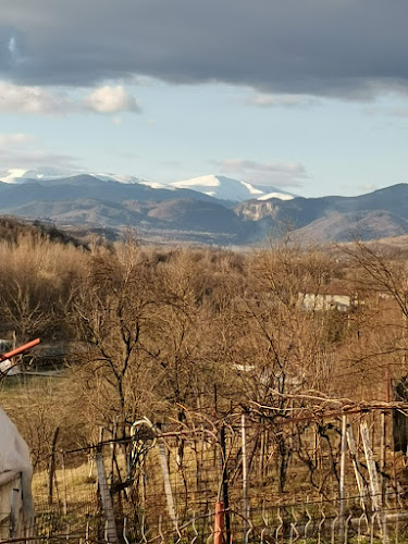 Opinii despre Târgul Alimpeşti în Alimpeşti - Gastronomie și ospitalitate