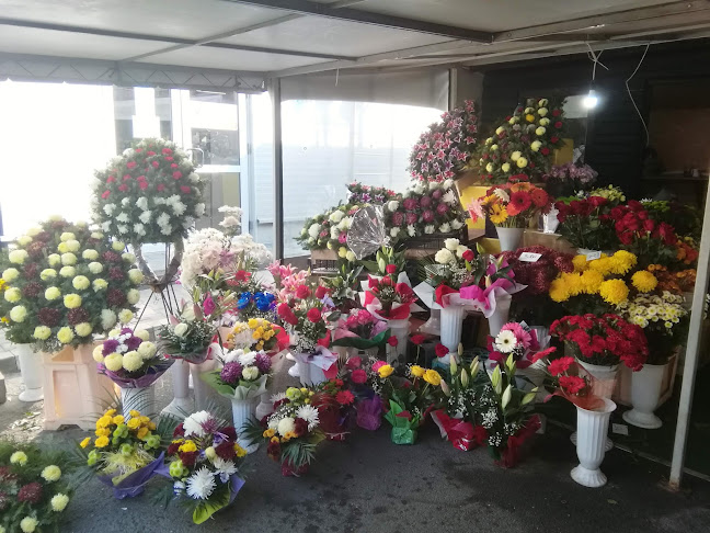 Piata De Flori - Giurgiu