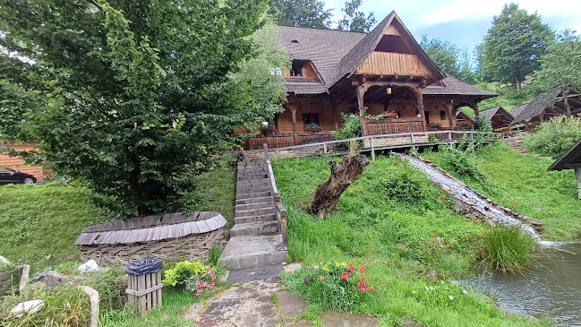 Comentarii opinii despre Păstrăvăria Alex