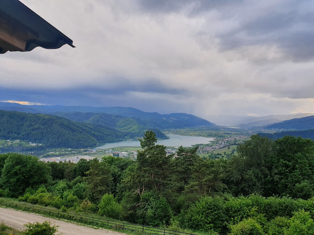 Opinii despre Restaurant Popasul Haiducilor în Piatra Neamț - Gastronomie și ospitalitate