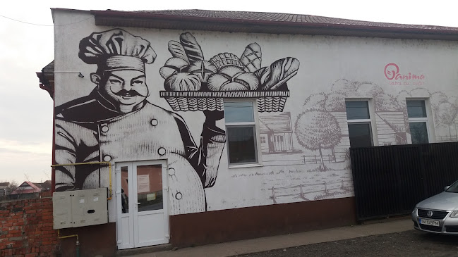 Strada Principală, Săcălaz 307370