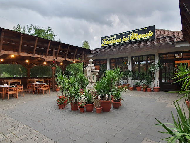 Restaurant Fantana lui Manole - Gastronomie și ospitalitate