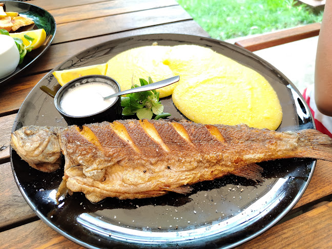 Padurea Ceala Complex Zori de Zi FN, Arad 310031