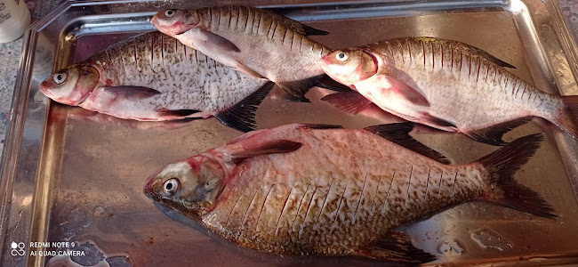 Bd. Aerogării, București