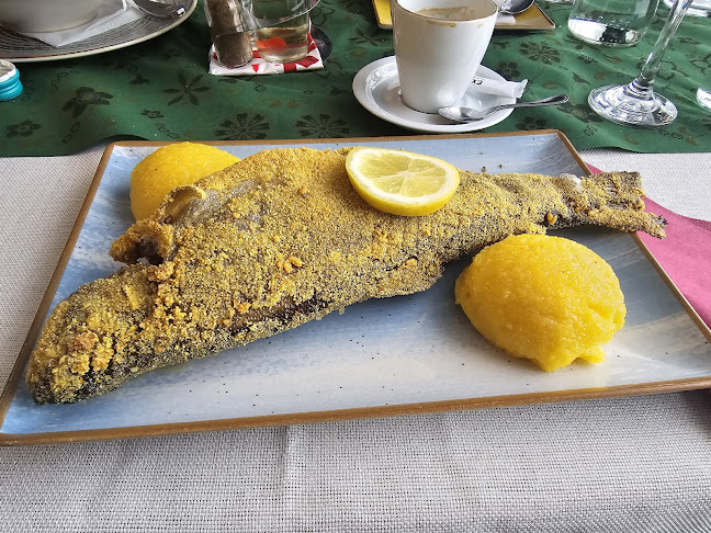 Complex Pastravul - Săpânța