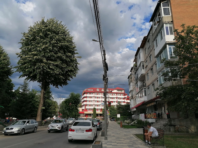 Opinii despre Terasa Restaurant Rustic în Pucioasa - Gastronomie și ospitalitate