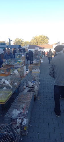 Opinii despre Pizza Viteazul Piata Mica în Arad - Gastronomie și ospitalitate