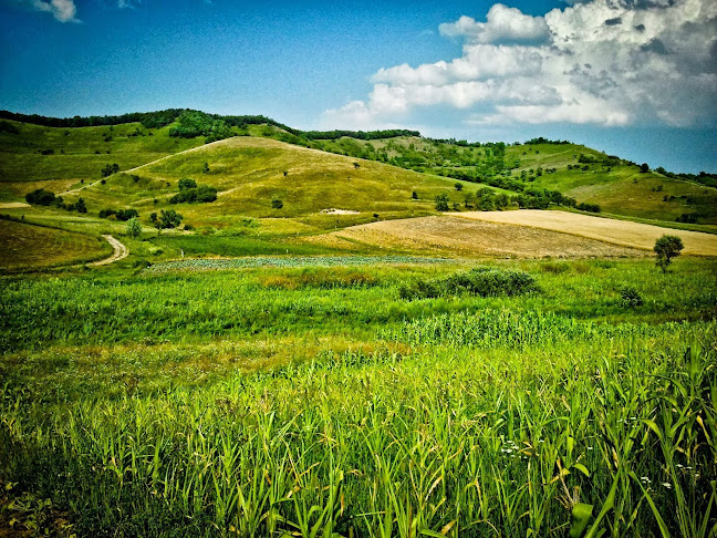 Ferma din Ardeal - Căluşeri