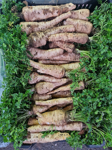 Piața angro de legume și fructe - Gastronomie și ospitalitate