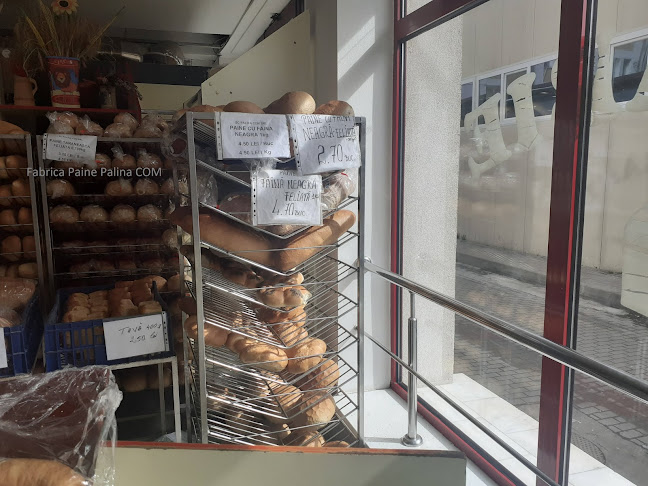 S.C. Palina S.R.L - Piatra Neamț