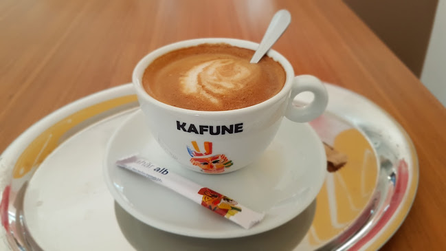 Comentarii opinii despre Chocodor