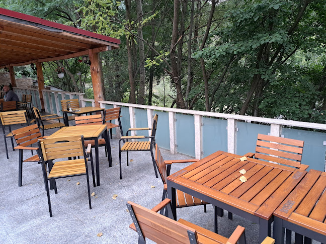 Comentarii opinii despre Popasul Turistic Vişina