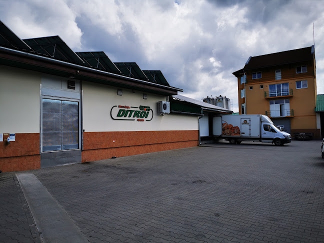 Comentarii opinii despre Brutăria Ditrău