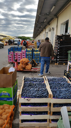 Strada Mesteacănului 31, Timișoara