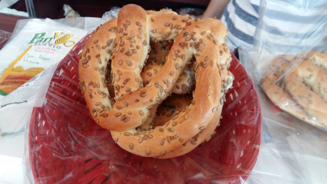 Comentarii opinii despre SC PANVIO SRL