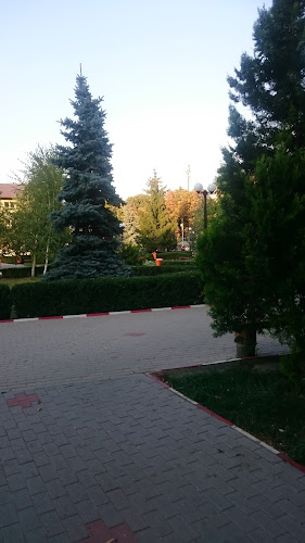 Piata Odobesti - Gastronomie și ospitalitate