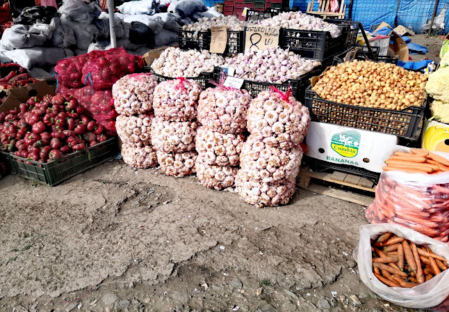 Piata De Gross Constanta - Gastronomie și ospitalitate