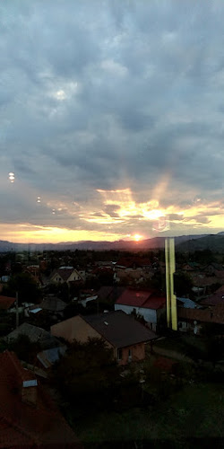 Seasons Cafe - Gastronomie și ospitalitate