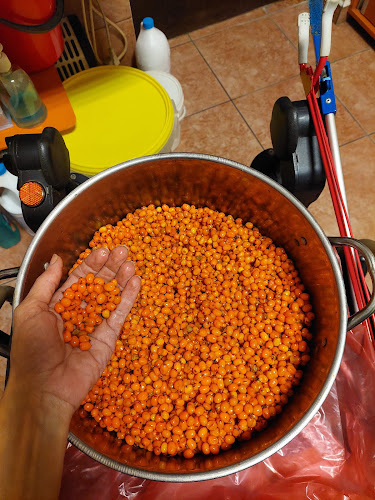 Comentarii opinii despre Aura Brutarie-Patiserie-Cofetarie