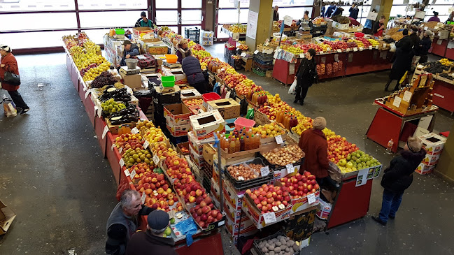 Strada Ziduri Moși 4, București 077085
