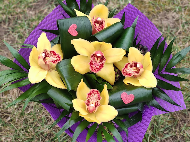 Floraria Anotimp - Hunedoara