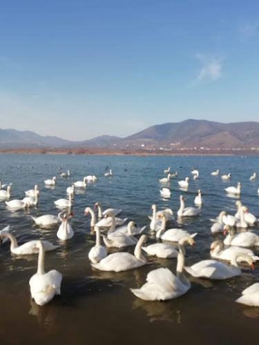Restaurant Popasul Haiducilor - Piatra Neamț