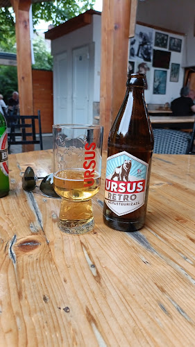 Comentarii opinii despre Tranzit