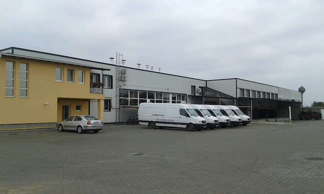 Varga Quattro SRL - Carei