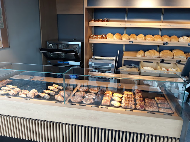 Calea Mihai Viteazul 88, Carei 445100