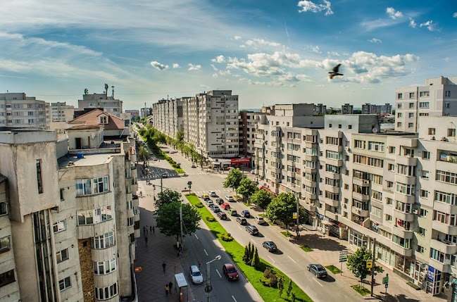 Opinii despre Pizza Royal în Slatina - Gastronomie și ospitalitate