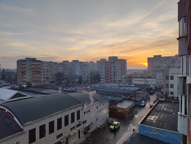 Cofetăria Vîjială - Alexandria