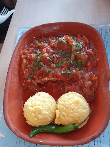 Ivan Pescar - Tulcea