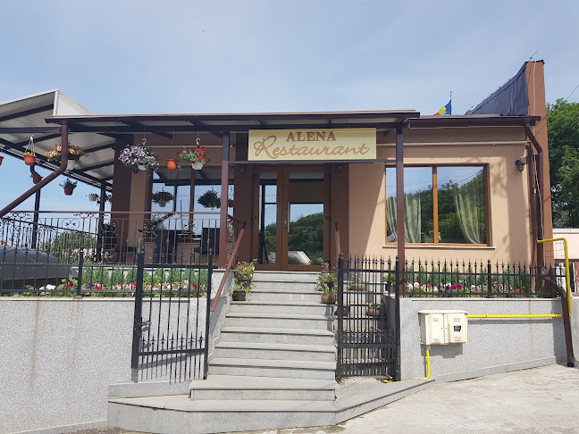 Comentarii opinii despre Restaurant Alena
